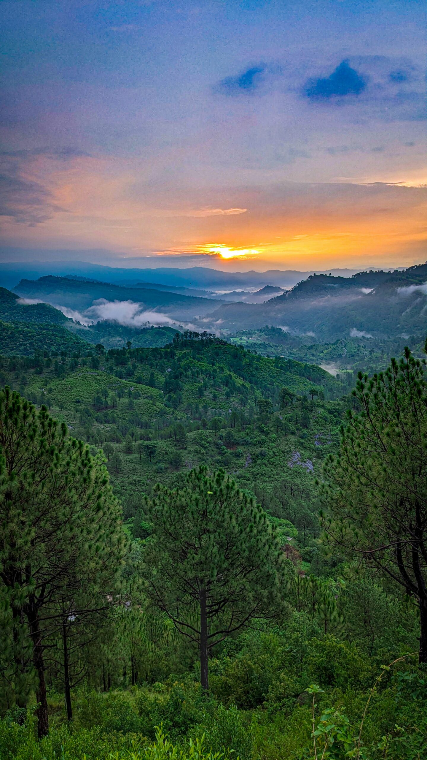 Sunset over green mountain valley with forest and clouds
